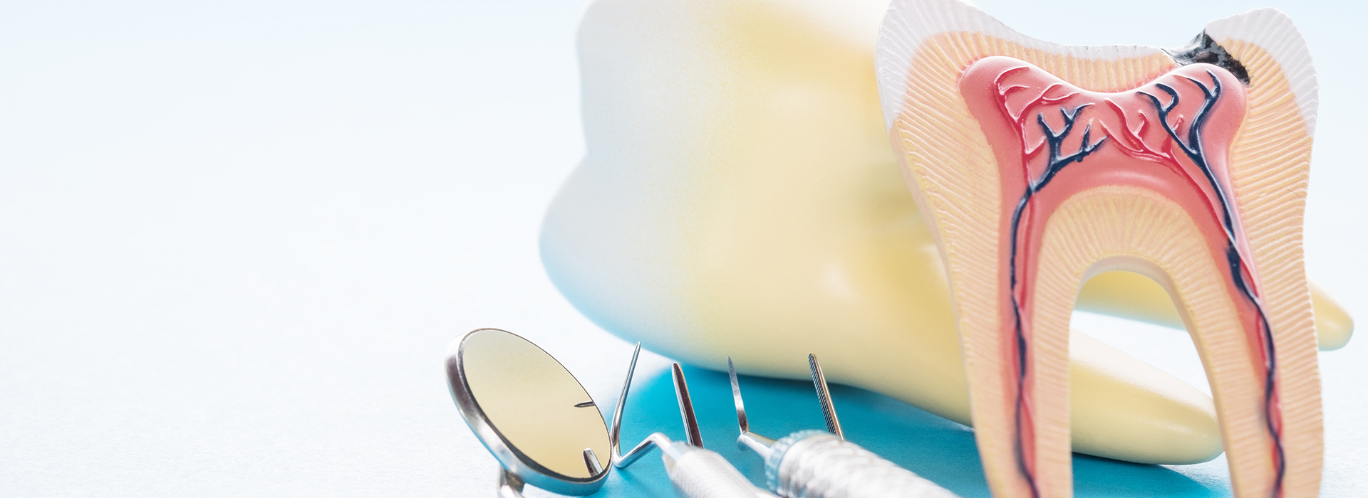 John F. Ceraso, DMD | Dental Bridges, Preventative Program and Implant Dentistry